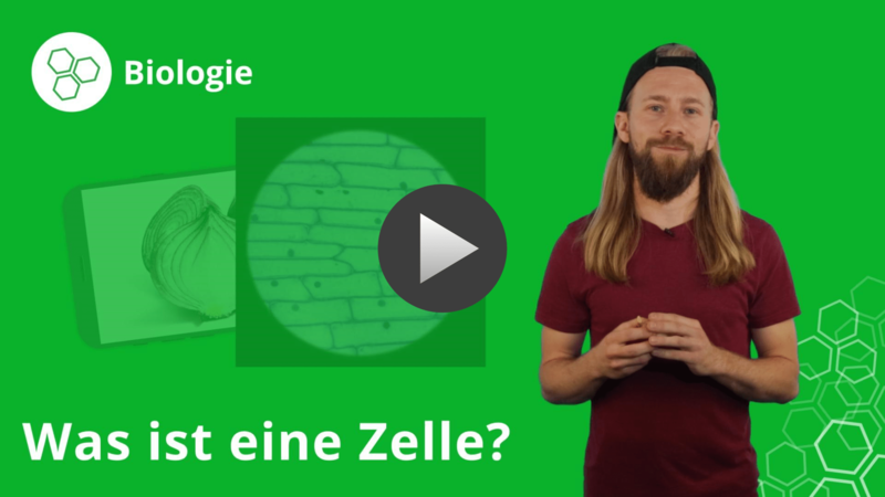 was-ist-eine-zelle-biologie