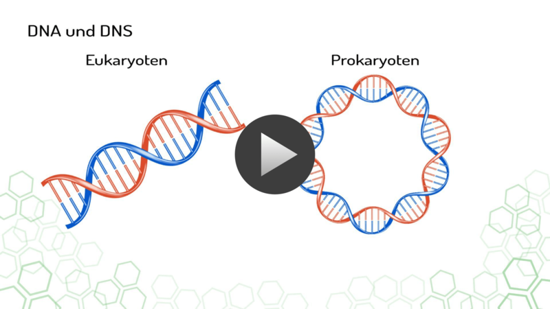 DNA-aufbau-biologie