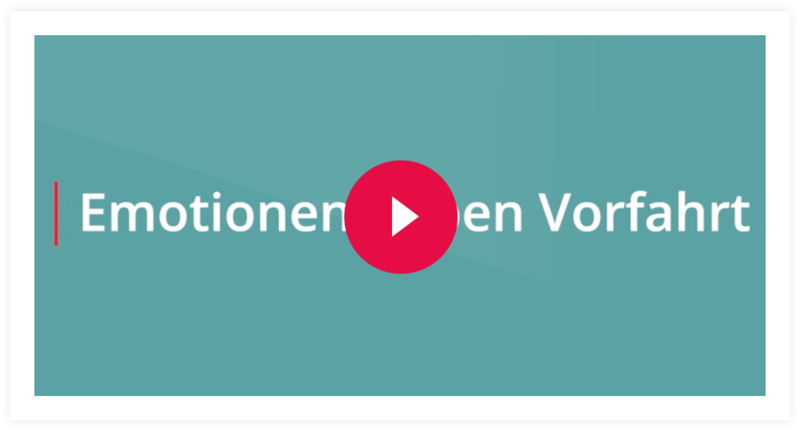 Videokurs Elternratgeber Emotionen