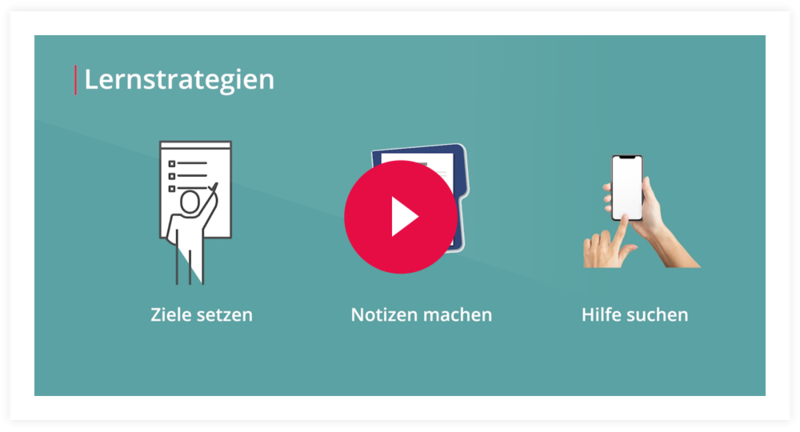 Videokurs Elternratgeber Lernstrategien
