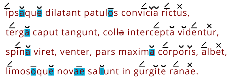 Hexameter-3