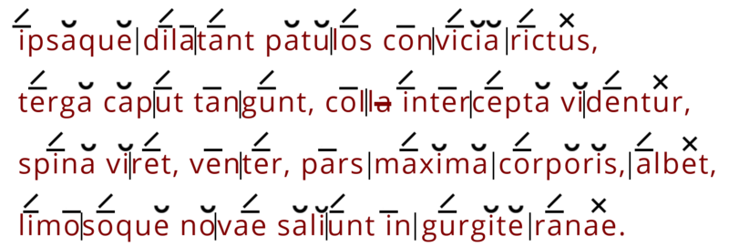 Hexameter-5