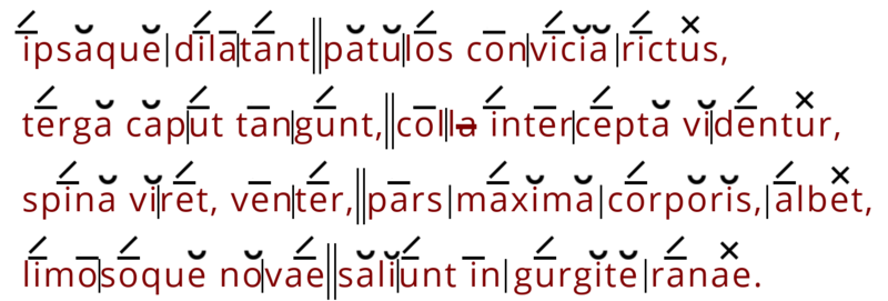 Hexameter-5-2