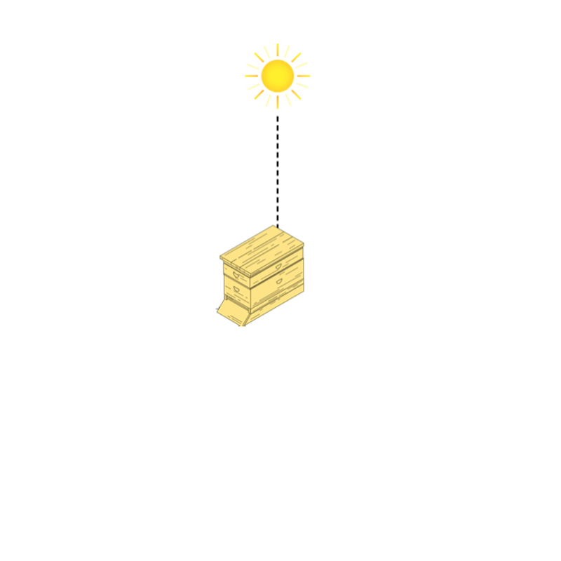 Bienenstock mit Sonnenstand