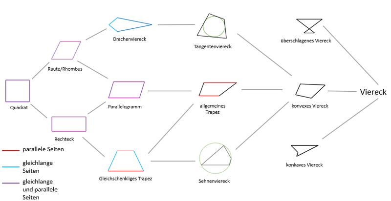 Verschiedene Arten von Vielecken sind ihrer Symmetrie nach geordnet.