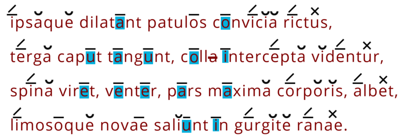 Hexameter