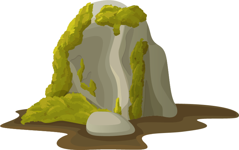 Moos an einem Stein